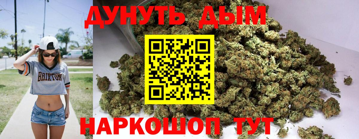 Конопля SATIVA & INDICA Сосновый Бор